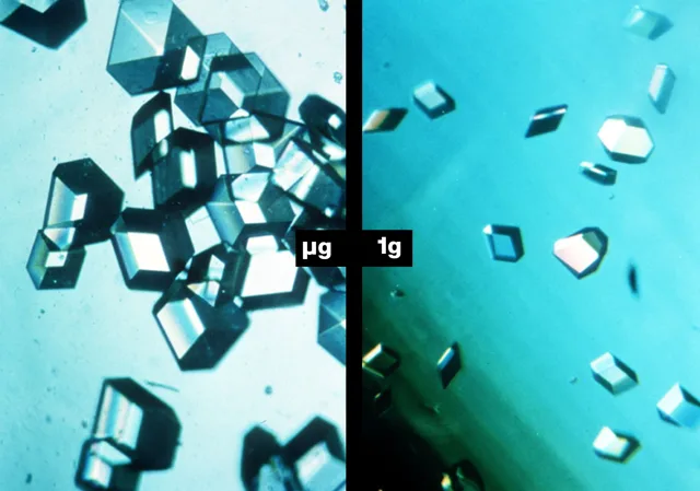 Pharmaceuticals: Perfecting Drug Delivery