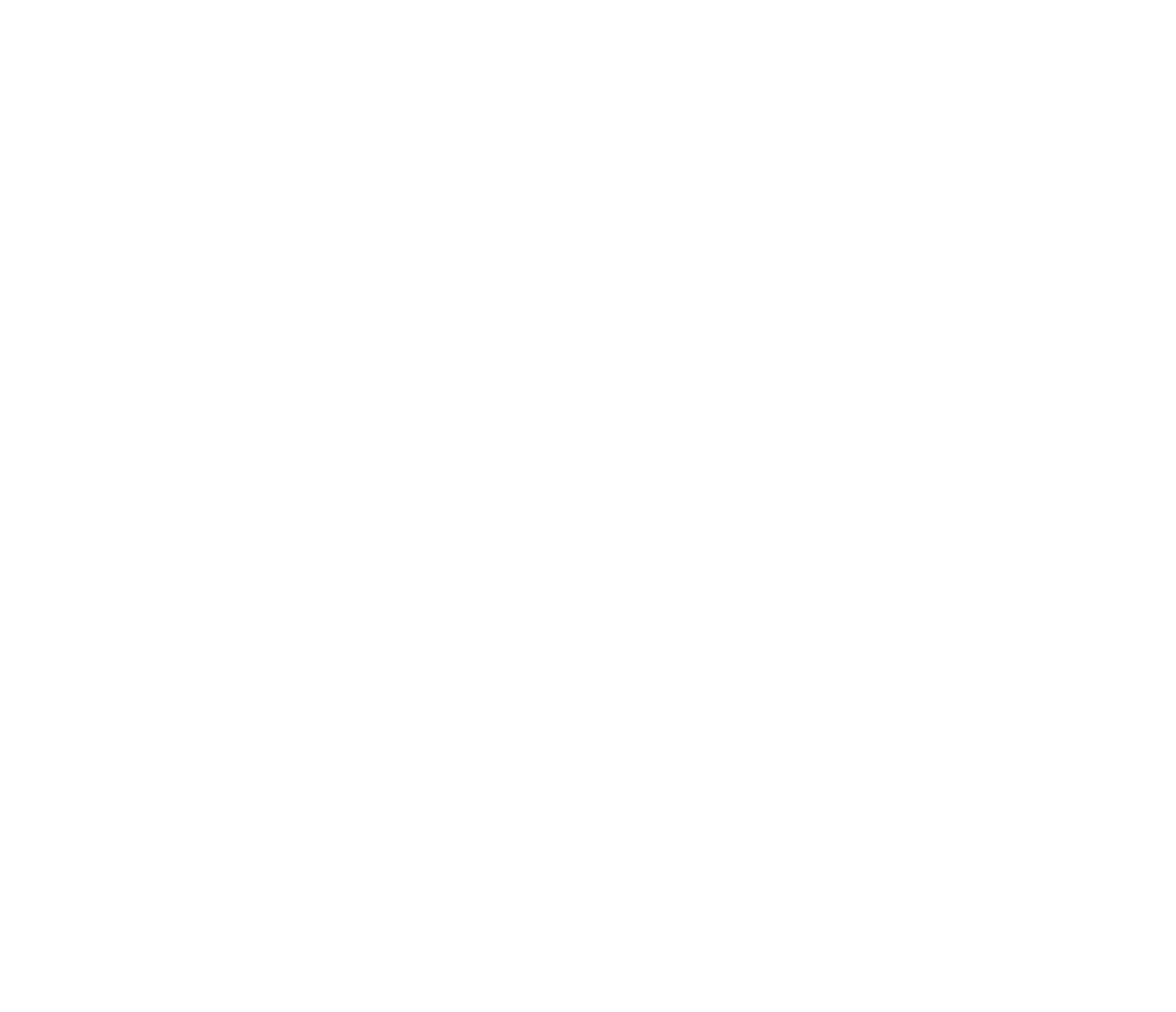 Wireframe of the Free Flyer 1 spacecraft